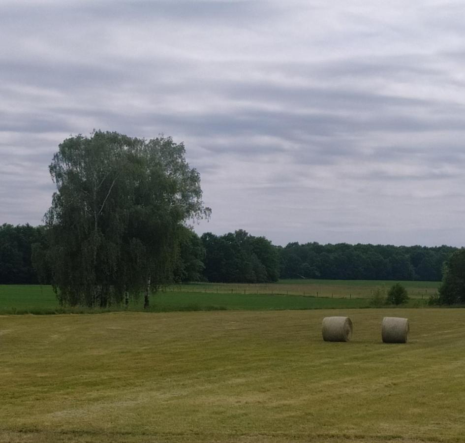 Ubytovani U Sobotku Třeboň 外观 照片
